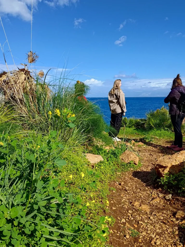 Surprise Excursion in Palermo by A Casa di Amici Hostel